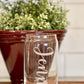 Engraved Personalized/Custom Name Beer Can Glass - Iced Coffee Glass - 16oz