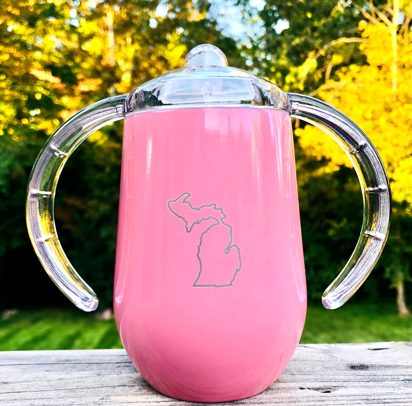 State Inspired Sippy Cup - Any State - Customizable